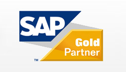 SAP partner